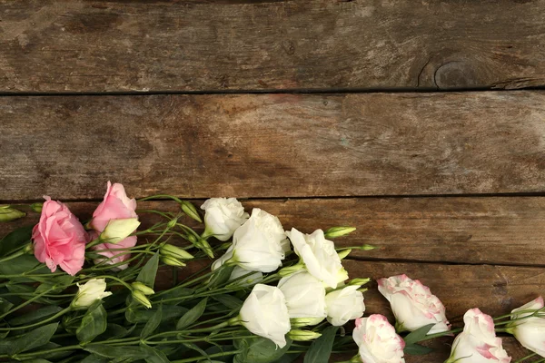 Krásný eustoma na dřevěné pozadí — Stock fotografie