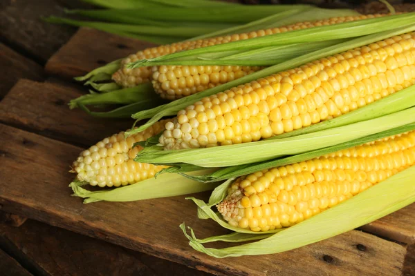 Fresh corn on cobs — Stock Photo, Image