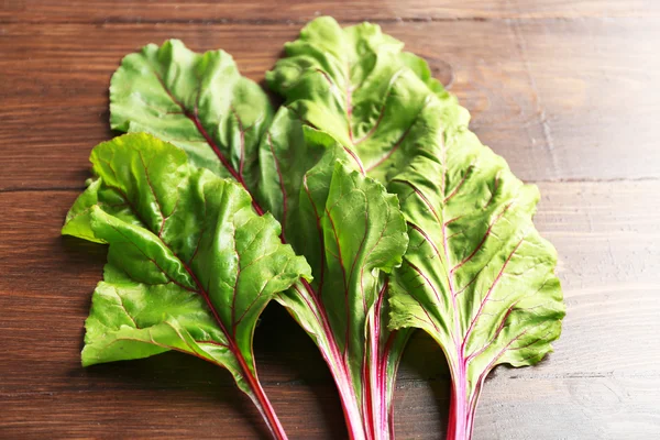 Verse swiss chard — Stockfoto