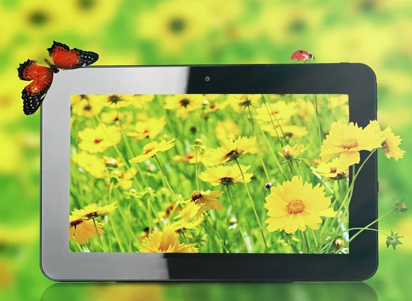 Tableta con fondo de pantalla de la naturaleza —  Fotos de Stock