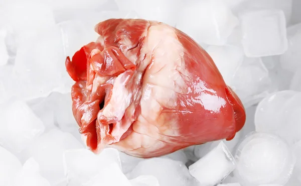 Heart organ with ice — Stock Photo, Image