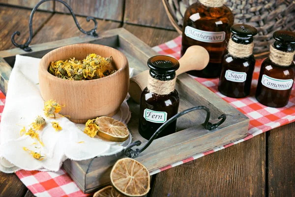 Boek van de medicinale planten — Stockfoto