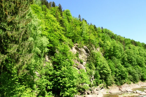 Steep river bank with rocks — Stock Photo, Image