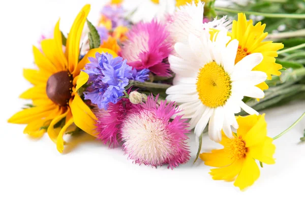 Beautiful bright wildflowers — Stock Photo, Image