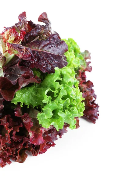 Bunch of fresh lettuce — Stock Photo, Image