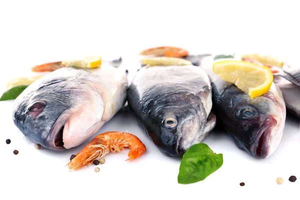 Fresh fishes and shrimps with spices — Stock Photo, Image