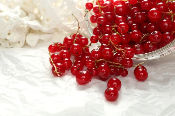 Groseille rouge mûre dans un bol en verre sur fond clair — Photo