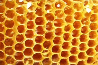 Taze petek arka plan