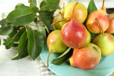 Tablo Tarih temiz olgun armut yakın çekim