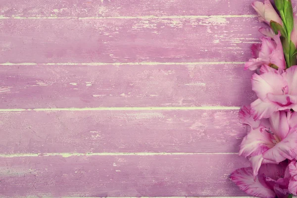 木製の背景上のグラジオラスの花 — ストック写真