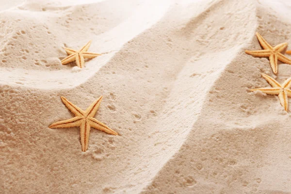 Starfishes on sea sand background — Stock Photo, Image