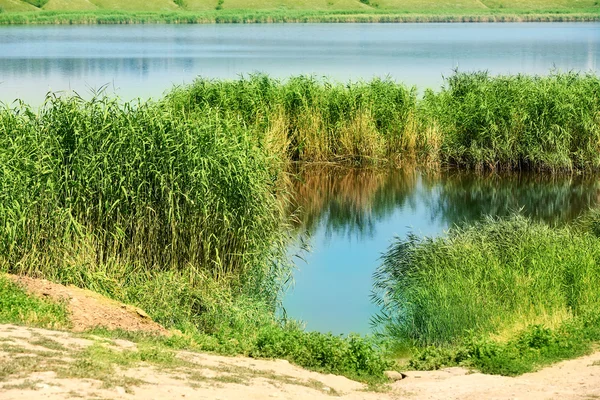 Красивый летний пейзаж с озером — стоковое фото
