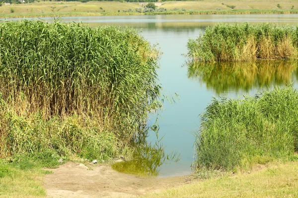 Linda paisagem de verão com lago — Fotografia de Stock