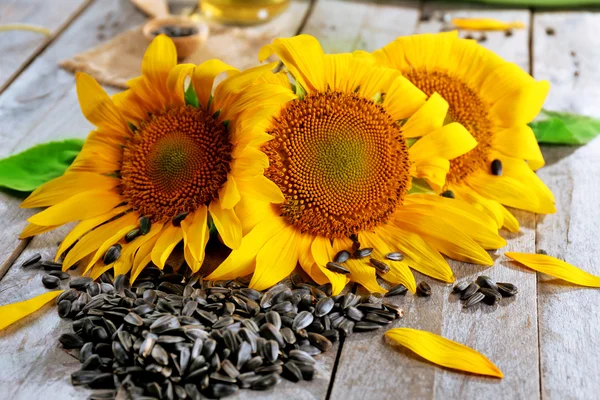 Schöne helle Sonnenblumen — Stockfoto