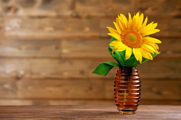 Hermoso girasol brillante en jarrón sobre fondo de madera — Foto de Stock