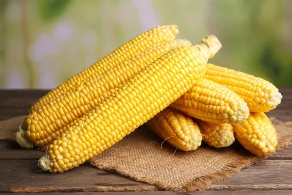Frischer Mais auf hellem Hintergrund — Stockfoto