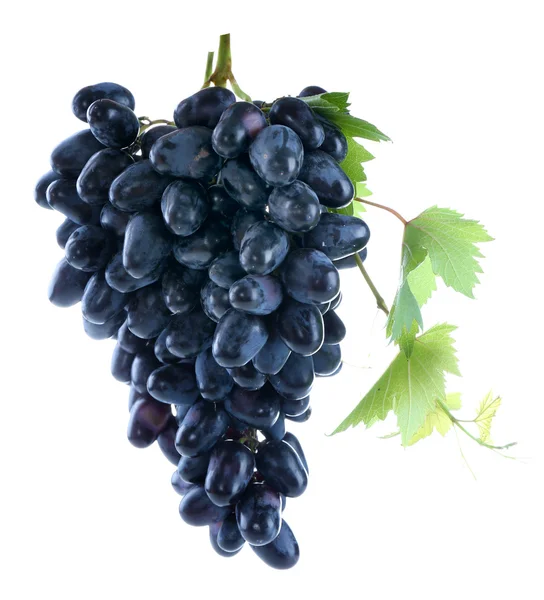 Uvas frescas maduras — Foto de Stock