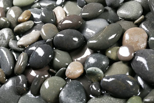 Grå havet pebbles bakgrund — Stockfoto