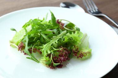 Taze karışık yeşil salata plaka üzerinde kapat