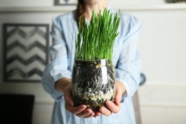 Kadın holding pot çim ile