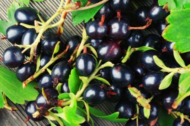 Siyah kuş üzümü yığını