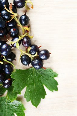 Siyah kuş üzümü yığını