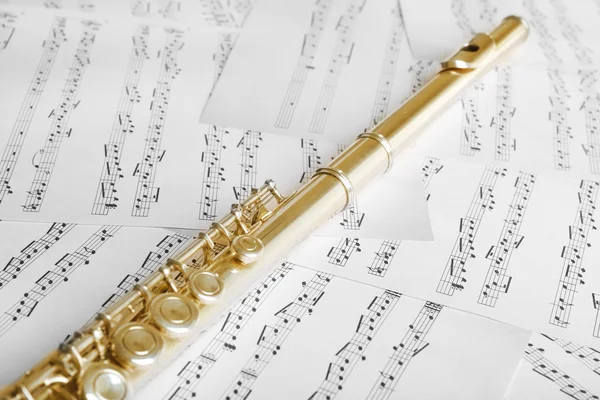 Flute on music notes — Stock Photo, Image