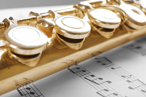 Silver flute on music notes — Stock Photo, Image