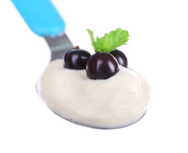 Lahodný jogurt v lžíci s černý rybíz a mincovna izolovaných na bílém — Stock fotografie