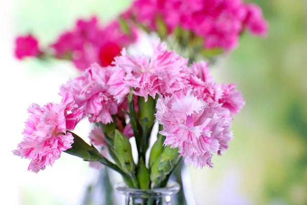 Hermoso ramo de clavel rosa en jarrones de cerca — Foto de Stock