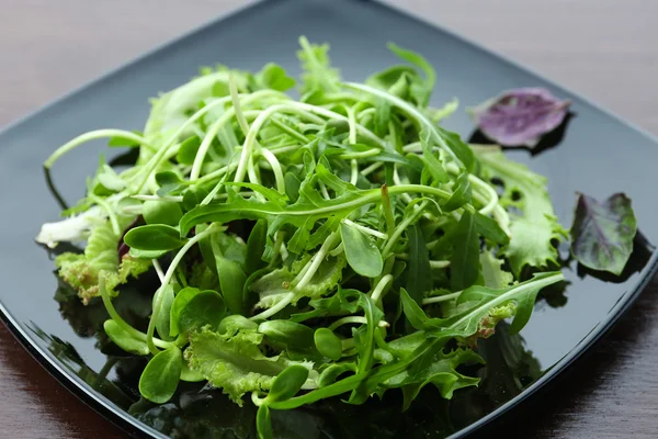 Ensalada verde mixta fresca en el plato de cerca —  Fotos de Stock