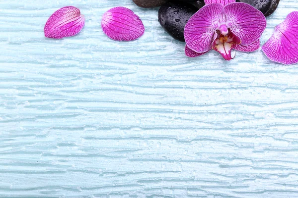 Orchid and zen stones — Stock Photo, Image