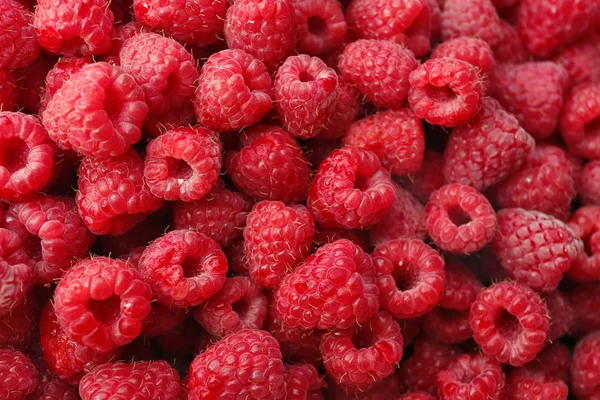 Haufen süßer roter Himbeeren aus nächster Nähe — Stockfoto