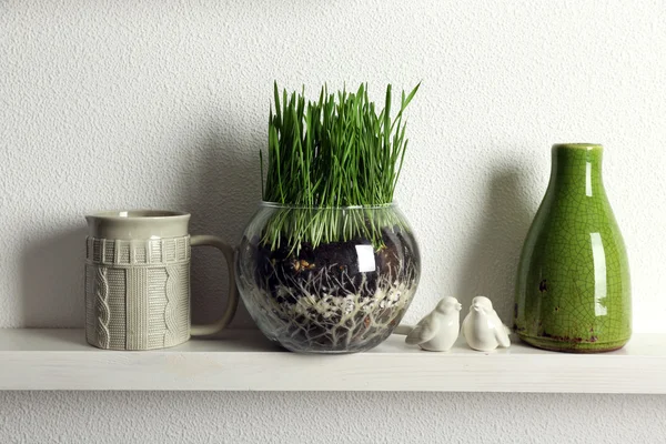 Transparent pot with fresh grass — Stock Photo, Image