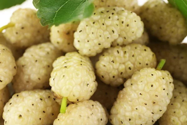 Fresh mulberry, closeup — Stock Photo, Image