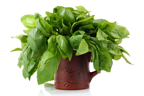 Green fresh basil in cup isolated on white — Stock Photo, Image