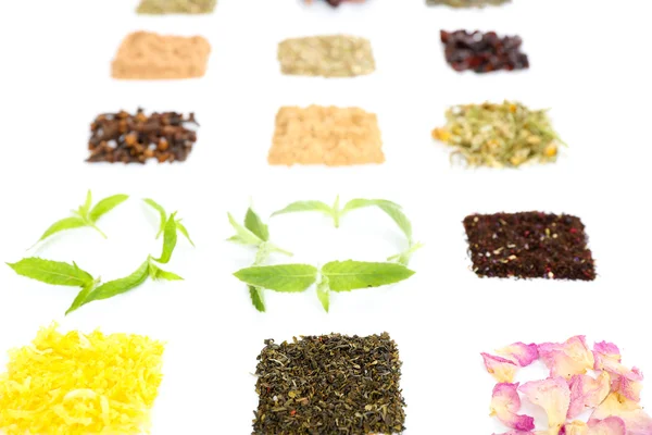 Különféle gyógynövény tea és gyógynövények elszigetelt fehér — Stock Fotó