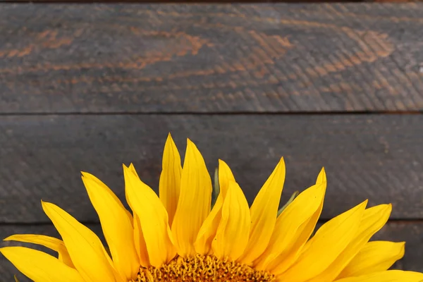 Beautiful sunflower on wooden background — Stock Photo, Image