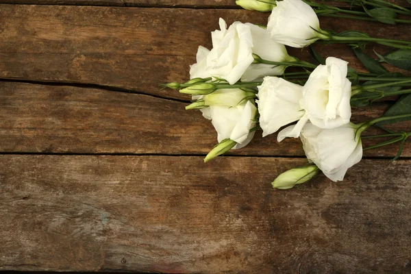 Hermoso eustoma sobre fondo de madera — Foto de Stock