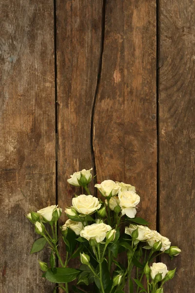 Belle piccole rose su sfondo di legno — Foto Stock