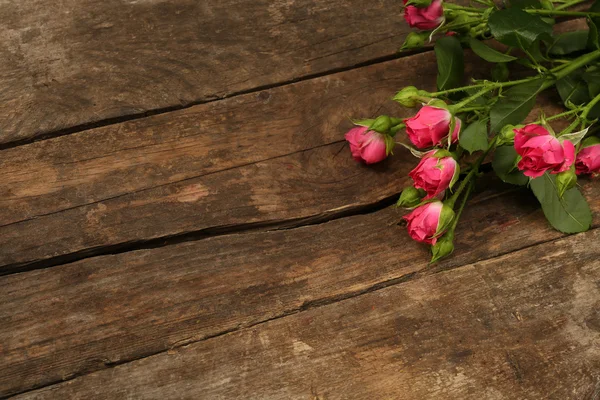 Krásné malé růže na dřevěné pozadí — Stock fotografie