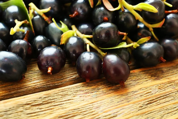 Haufen schwarzer Johannisbeeren — Stockfoto