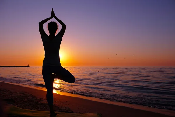 Wanita muda yang sehat berlatih yoga — Stok Foto