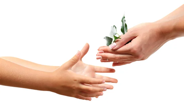 Mujer y niño con tierra y planta —  Fotos de Stock