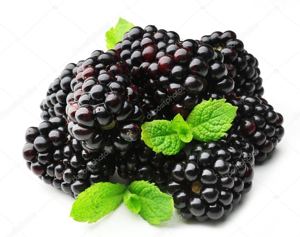Ripe blackberries with green leaves isolated on white