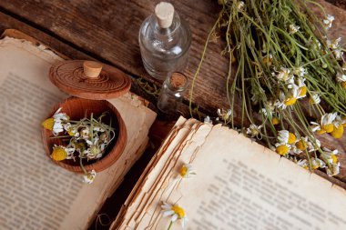 Kuru çiçekler ile eski kitap