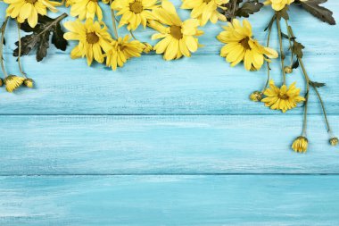 ahşap zemin üzerine sarı krizantem