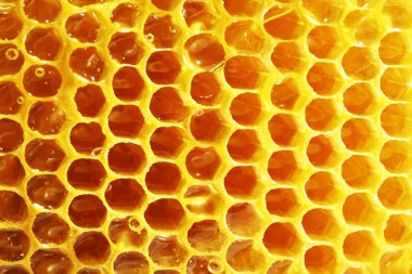 Taze petek arka plan