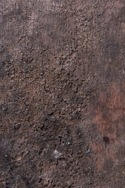 Ahşap doku arkaplanı