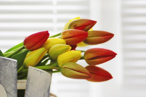 Lindas tulipas em vaso de flores — Fotografia de Stock